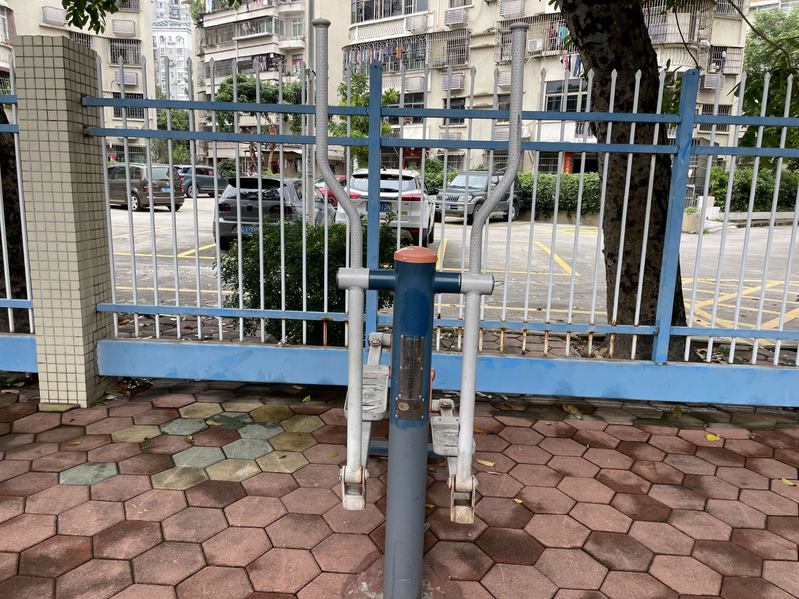 凤凰河渠绿道南华小区东苑段