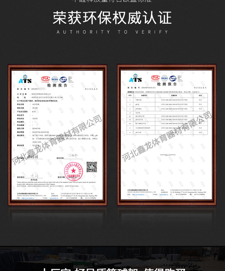 篮球架户外标准可移动升降学生投篮框儿童成人室内外家用训练国标(图21)