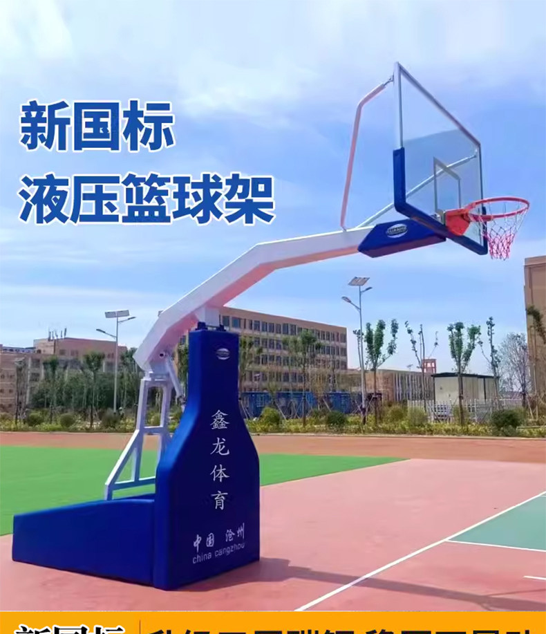 标准篮球架户外投篮框青少年训练nba专业手电动液压室外移动升降(图1)