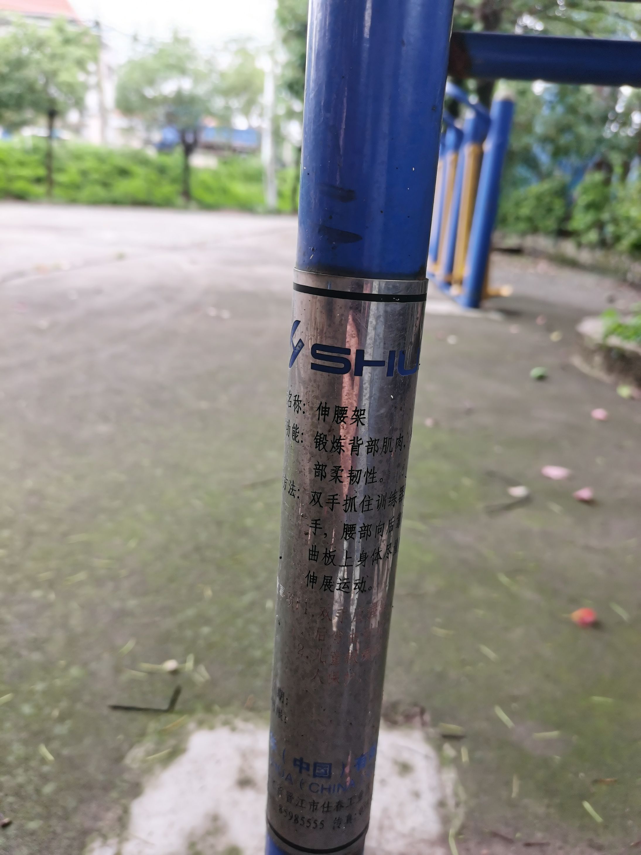 伸腰器