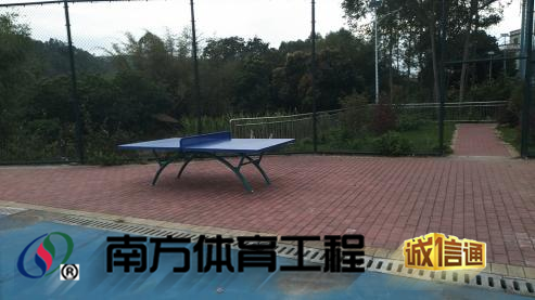 广东省惠州市博罗县泰美镇雷公村民委员会雷公村委会广场篮球架