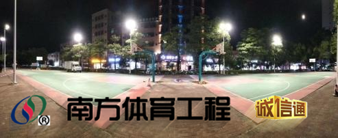 广东省惠州市博罗县泰美镇良田村民委员会泰美镇人民广场篮球架